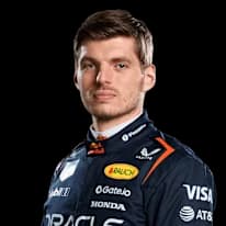 Max Verstappen, Red Bull driver